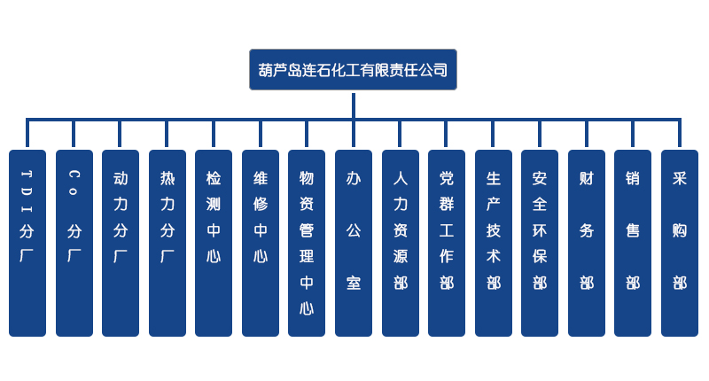 組織機構(gòu)